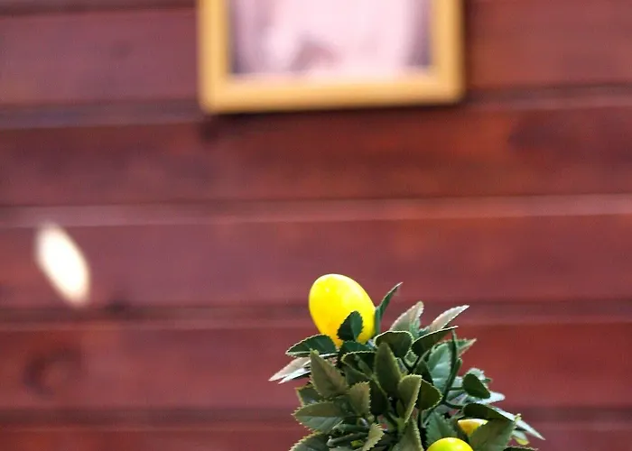 Hotel Viya Boutique Alaçatı