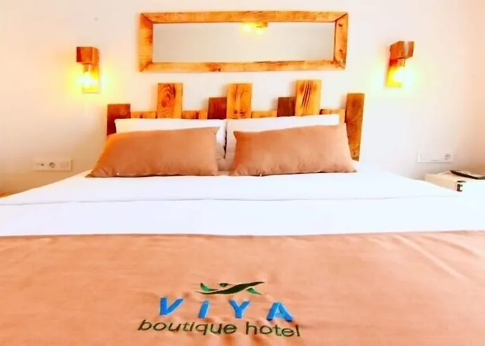 Viya Boutique Hotel *