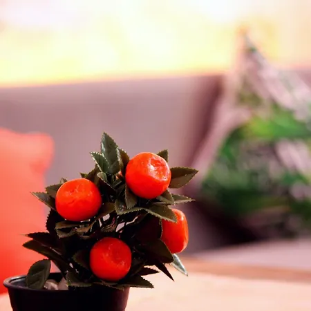 호텔 Viya Boutique